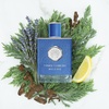 image:imageVince Camuto Eau de Toilette Spray Homme 17 Fl Oz
